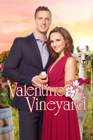 Un San Valentino molto speciale [HD] (2019)