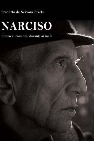 Narciso - Dietro ai cannoni, davanti ai muli [SD] (2008)