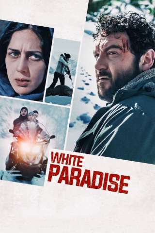 Sopravvissuti [HD] (2022)