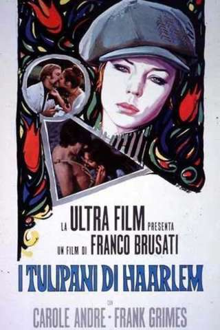 I tulipani di Haarlem [HD] (1970)