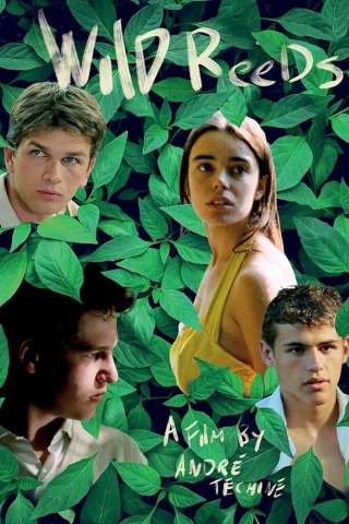 L'età acerba [HD] (1994)