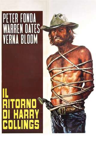 Il ritorno di Harry Collings [HD] (1971)