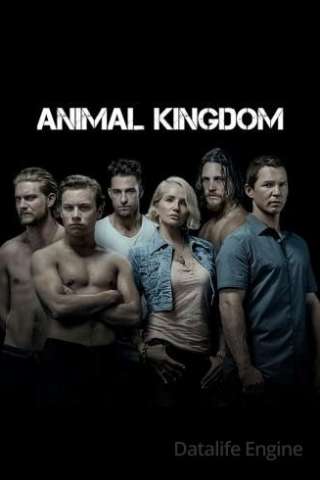 Animal Kingdom [] (2016 - In Lavorazione)
