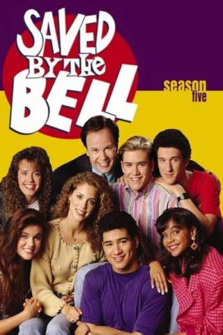 Bayside School [] (1989 - 1992)