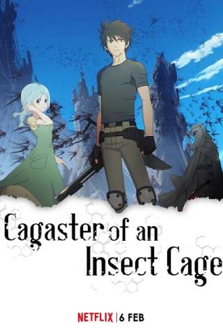 Cagaster of an Insect Cage [] (2020 - In Lavorazione)