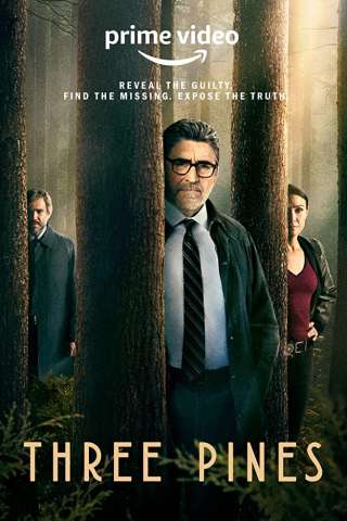 Il Commissario Gamache - Misteri a Three Pines [] (2022 - In Lavorazione)