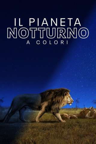 Il pianeta notturno a colori [] (2020 -)