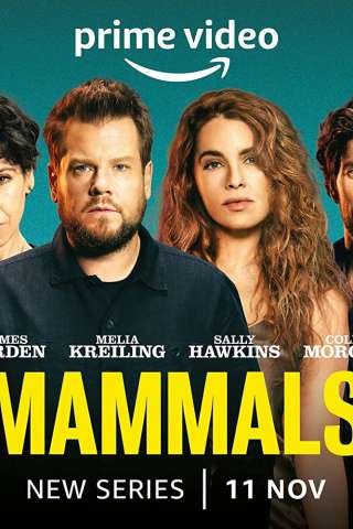 Mammals [] (2022 - In Lavorazione)