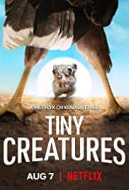 Piccole Creature [] (2020 - In Lavorazione)