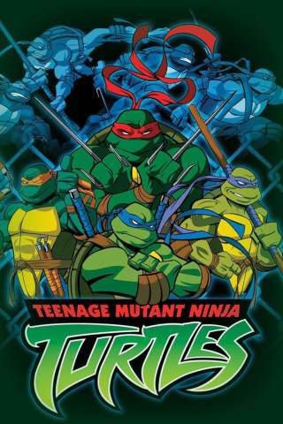 Tartarughe Ninja (2003) [] (2003 - 2010)
