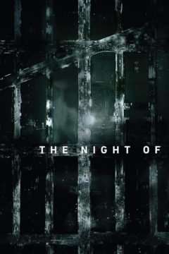 The Night Of [] (2016)