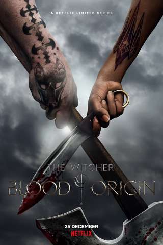 The Witcher: Blood Origin [] (2022 - In Lavorazione)