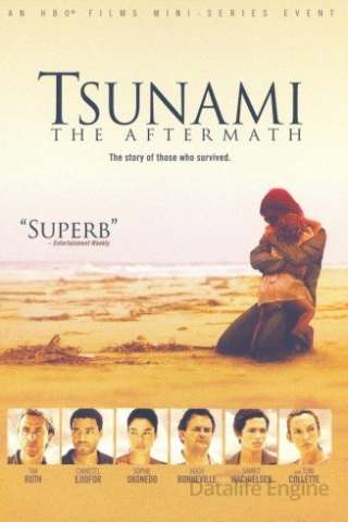 Tsunami - Il giorno dopo [] (2006 - In Lavorazione)