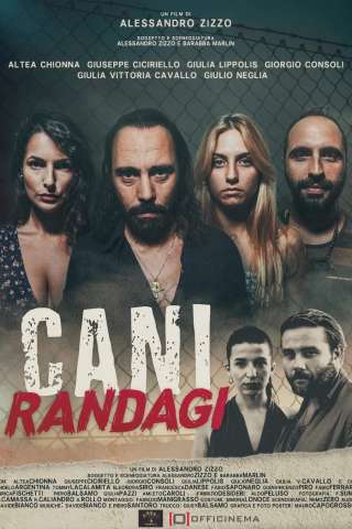 Cani randagi [HD] (2023)