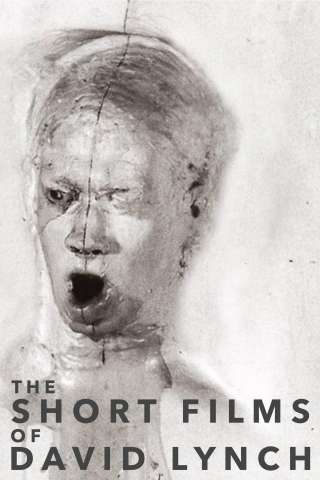 The Short Films of David Lynch [HD] (2002)