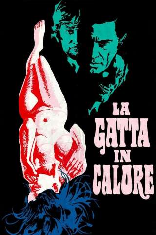 La gatta in calore [HD] (1972)