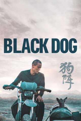 Black Dog [HD] (2024)