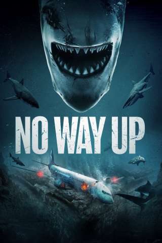 No way up - Senza via di uscita [HD] (2024)