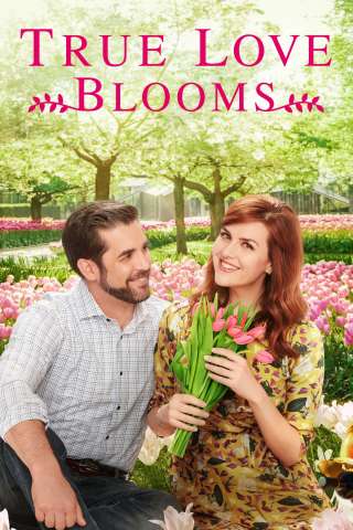 Amore in fiore [HD] (2019)