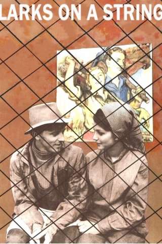 Allodole sul filo [SD] (1990)
