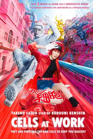 Cells at Work! - Lavori in corpo [HD] (2024)