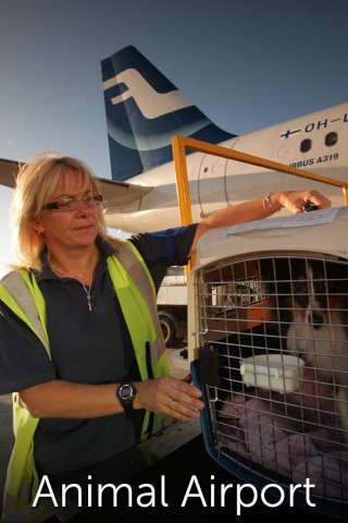 Airport security: animali [] (2012)