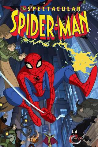 The Spectacular Spider-Man [] (2008)