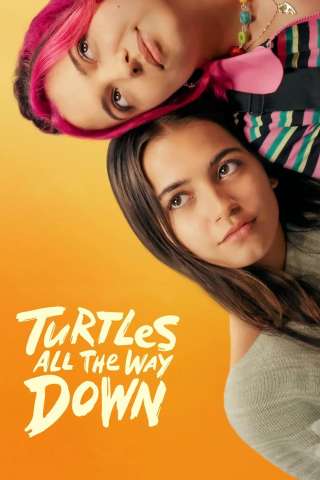 Tartarughe all'infinito [HD] (2024)