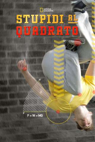 Stupidi al quadrato [] (2014)