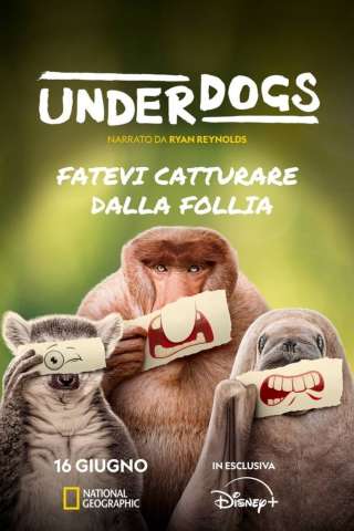 Underdogs [] (2025)