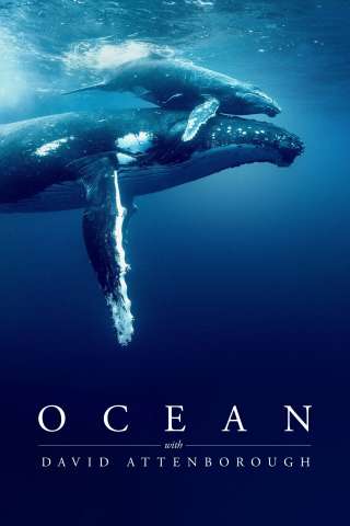 I Segreti Dell’oceano con David Attenborough [HD] (2025)