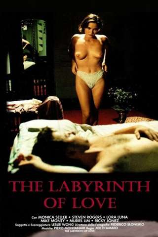 Il labirinto dei sensi [SD] (1994)