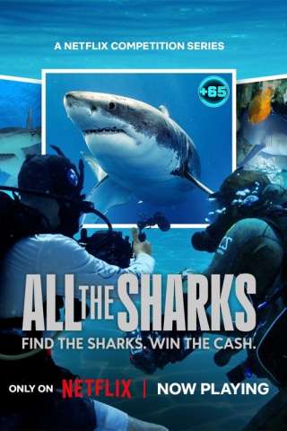 All the Sharks - In cerca di squali [] (2025)