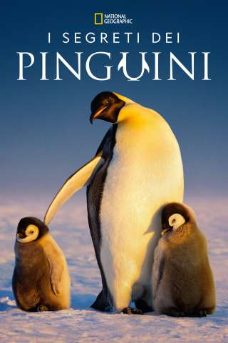 I segreti dei pinguini [] (2025)