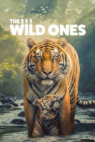 The Wild Ones [] (2025)