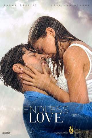 Endless Love [] (2015)