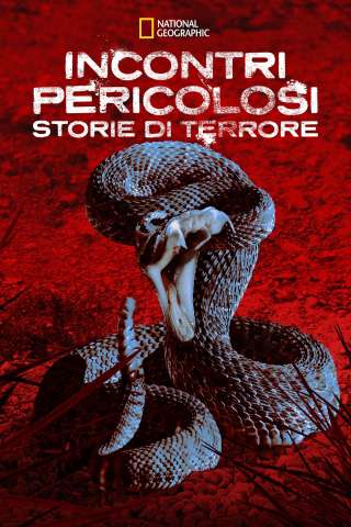 Incontri Pericolosi: Storie di Terrore [] (2022)