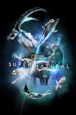 Super/Natural [] (2022)