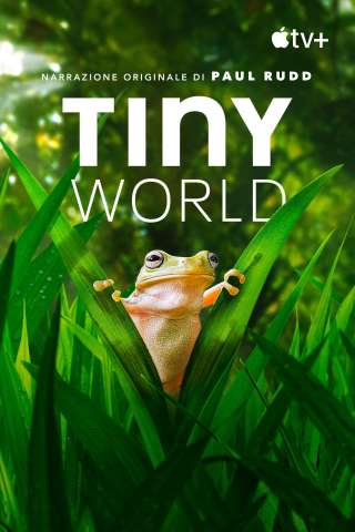 Tiny World [] (2020)