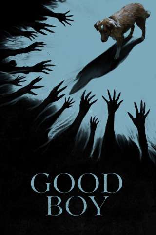 Good Boy [HD] (2025)