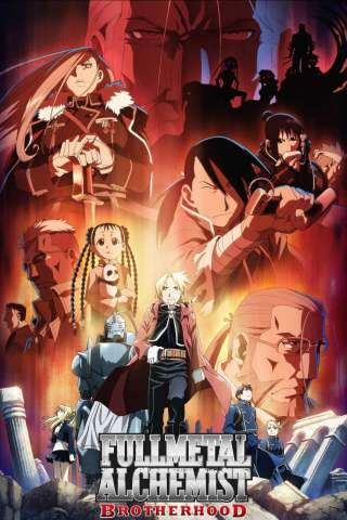 Fullmetal Alchemist: Brotherhood [] (2009)