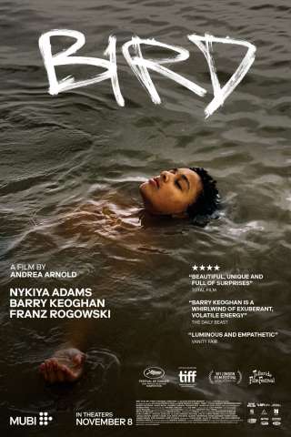 Bird [HD] (2024)
