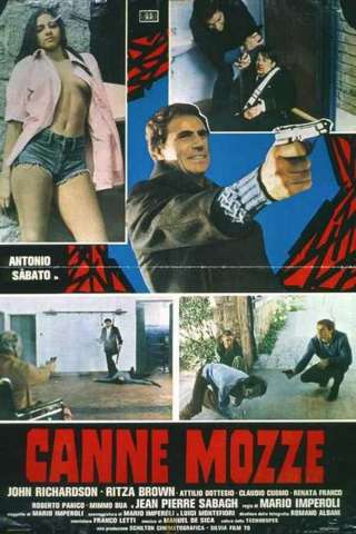 Canne mozze [HD] (1977)