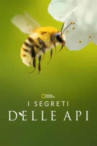 I segreti delle api [HD] (2026)