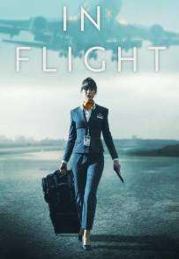 In Flight [HD] (2025)