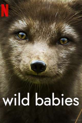 Cuccioli nella natura [HD] (2022)