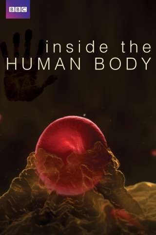 Dentro il corpo umano [HD] (2011)