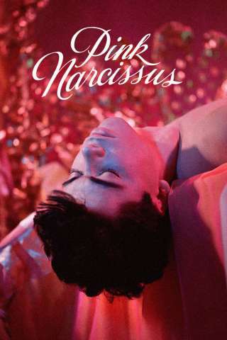 Pink Narcissus [HD] (1971)