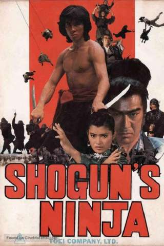 Ninja bugeicho momochi sandayu [HD] (1980)