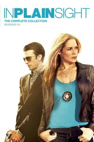 In Plain Sight - Protezione testimoni [HD] (2008)